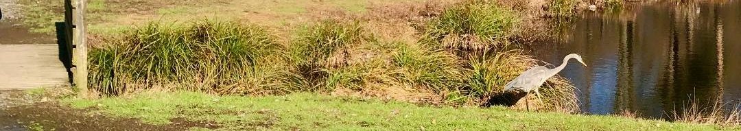 Burke Lake Golf Course